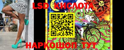 сатива Краснокаменск
