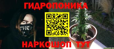 сатива Краснокаменск