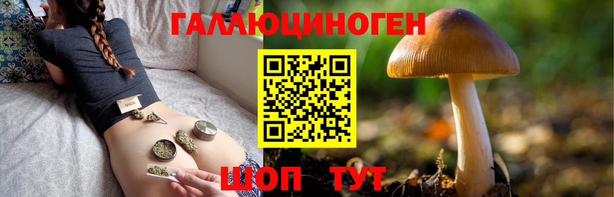 Котлас  Псилоцибиновые грибы мухоморы  Вход с VPN 